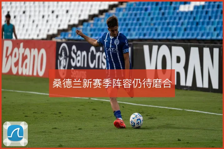 桑德兰新赛季阵容仍待磨合